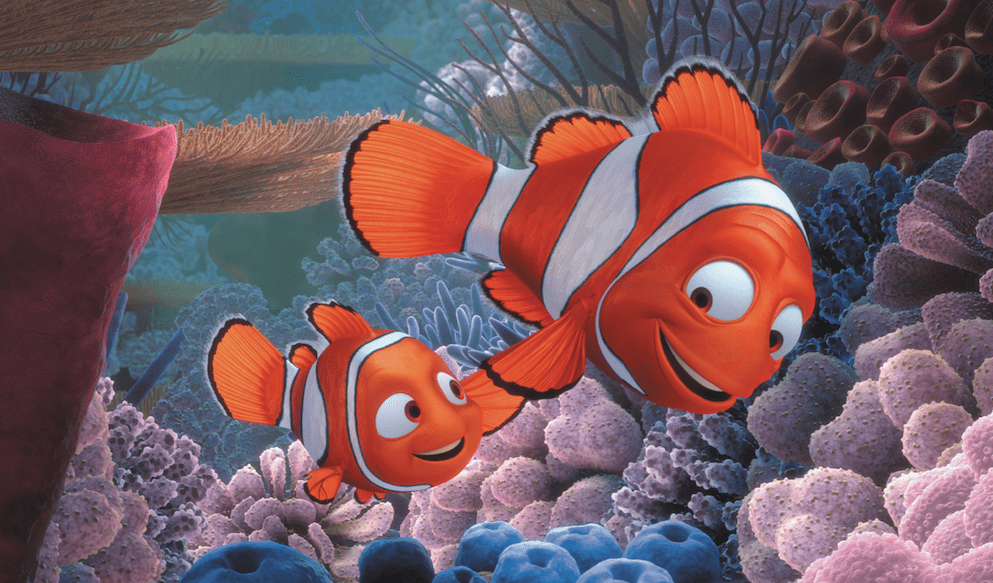 Marlin & his son, Nemo going to school