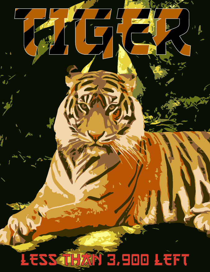 A vector poster of a bengal tiger
